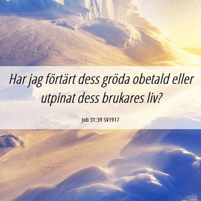 Picture 06 - Job 31:39 SV1917 - Har jag förtärt dess gröda obetald eller - Bible Verse Picture