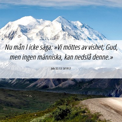 Picture 06 - Job 32:13 SV1917 - Nu mån I icke säga: »Vi möttes av vishet; - Bible Verse Picture