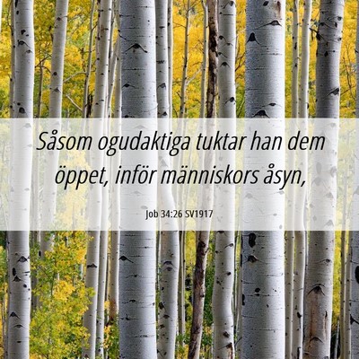 Picture 06 - Job 34:26 SV1917 - Såsom ogudaktiga tuktar han dem öppet, inför - Bible Verse Picture