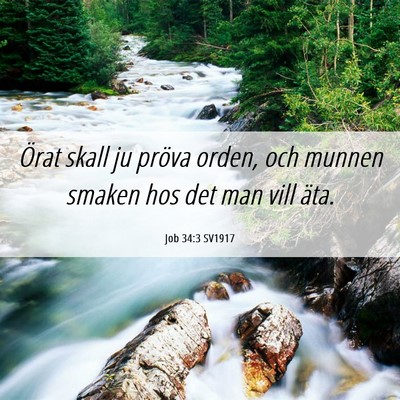 Picture 06 - Job 34:3 SV1917 - Örat skall ju pröva orden, och munnen smaken - Bible Verse Picture