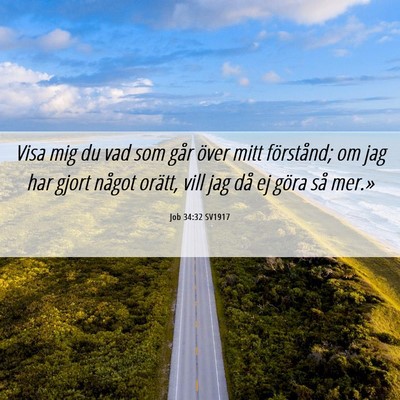 Picture 06 - Job 34:32 SV1917 - Visa mig du vad som går över mitt förstånd; - Bible Verse Picture