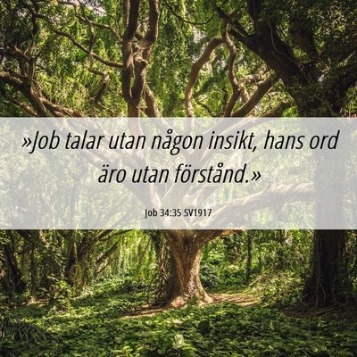 Picture 06 - Job 34:35 SV1917 - »Job talar utan någon insikt, hans ord äro - Bible Verse Picture