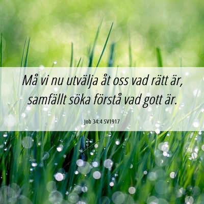 Picture 06 - Job 34:4 SV1917 - Må vi nu utvälja åt oss vad rätt är, - Bible Verse Picture