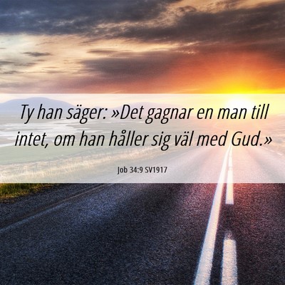 Picture 06 - Job 34:9 SV1917 - Ty han säger: »Det gagnar en man till intet, om - Bible Verse Picture