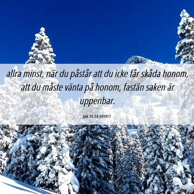 Picture 06 - Job 35:14 SV1917 - allra minst, när du påstår att du icke får - Bible Verse Picture
