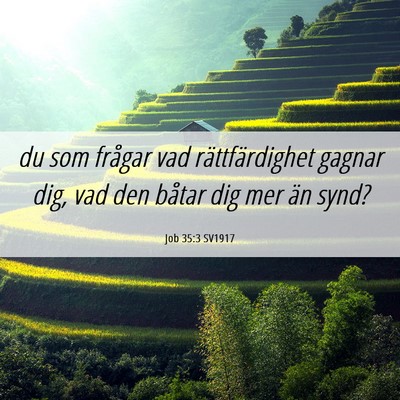 Picture 06 - Job 35:3 SV1917 - du som frågar vad rättfärdighet gagnar dig, - Bible Verse Picture