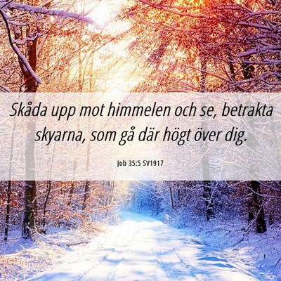Picture 06 - Job 35:5 SV1917 - Skåda upp mot himmelen och se, betrakta skyarna, - Bible Verse Picture