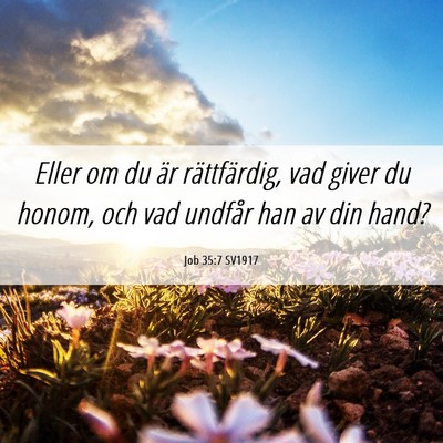 Picture 06 - Job 35:7 SV1917 - Eller om du är rättfärdig, vad giver du honom, - Bible Verse Picture