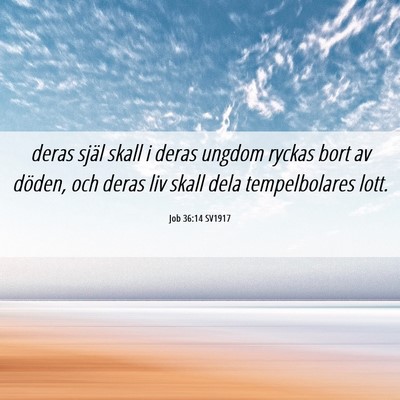 Picture 06 - Job 36:14 SV1917 - deras själ skall i deras ungdom ryckas bort av - Bible Verse Picture
