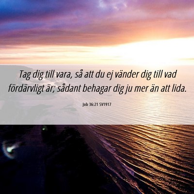 Picture 06 - Job 36:21 SV1917 - Tag dig till vara, så att du ej vänder dig till - Bible Verse Picture