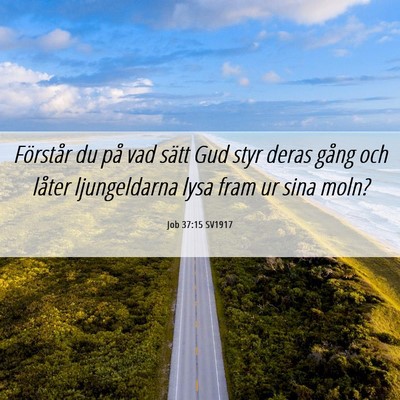 Picture 06 - Job 37:15 SV1917 - Förstår du på vad sätt Gud styr deras gång - Bible Verse Picture