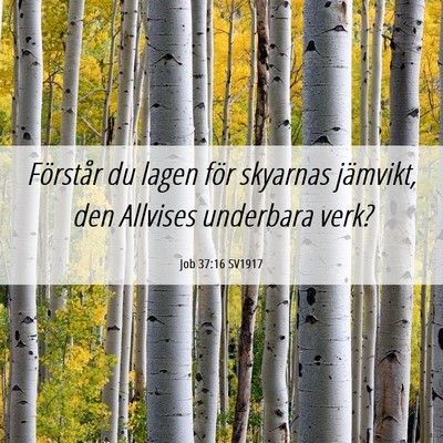 Picture 06 - Job 37:16 SV1917 - Förstår du lagen för skyarnas jämvikt, den - Bible Verse Picture