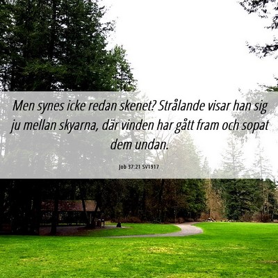 Picture 06 - Job 37:21 SV1917 - Men synes icke redan skenet? Strålande visar han - Bible Verse Picture