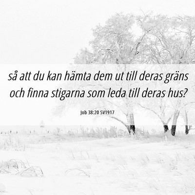 Picture 06 - Job 38:20 SV1917 - så att du kan hämta dem ut till deras gräns - Bible Verse Picture