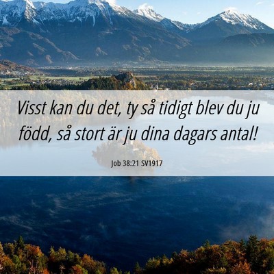 Picture 06 - Job 38:21 SV1917 - Visst kan du det, ty så tidigt blev du ju född, - Bible Verse Picture