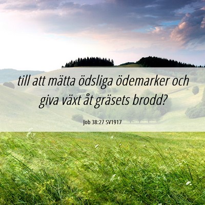 Picture 06 - Job 38:27 SV1917 - till att mätta ödsliga ödemarker och giva - Bible Verse Picture