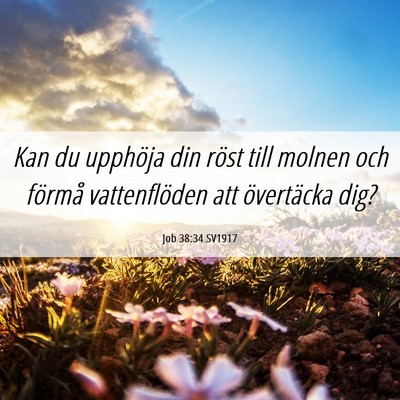 Picture 06 - Job 38:34 SV1917 - Kan du upphöja din röst till molnen och förmå - Bible Verse Picture