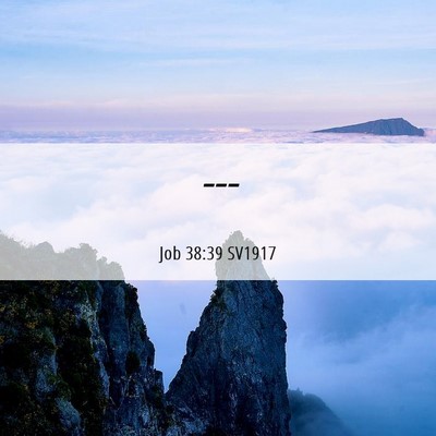 Picture 06 - Job 38:39 SV1917 -  - Bible Verse Picture