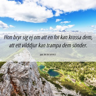 Picture 06 - Job 39:18 SV1917 - Hon bryr sig ej om att en fot kan krossa dem, att - Bible Verse Picture
