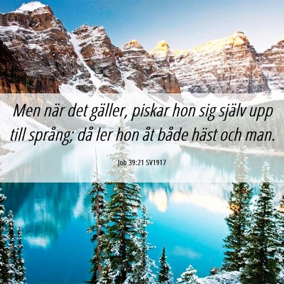 Picture 06 - Job 39:21 SV1917 - Men när det gäller, piskar hon sig själv upp - Bible Verse Picture