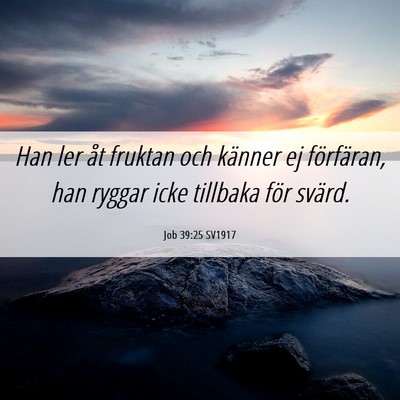 Picture 06 - Job 39:25 SV1917 - Han ler åt fruktan och känner ej förfäran, - Bible Verse Picture
