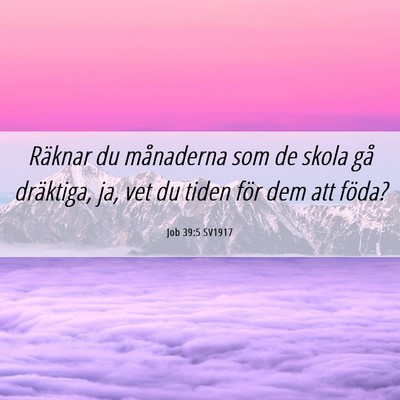 Picture 06 - Job 39:5 SV1917 - Räknar du månaderna som de skola gå dräktiga, - Bible Verse Picture