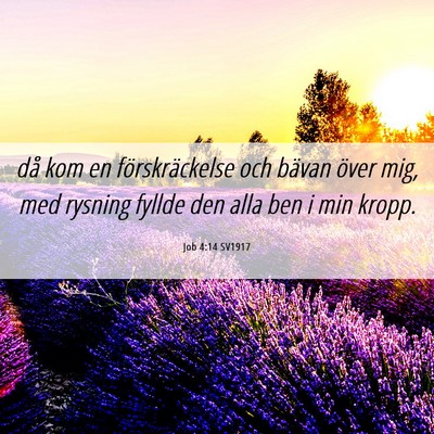 Picture 06 - Job 4:14 SV1917 - då kom en förskräckelse och bävan över mig, - Bible Verse Picture