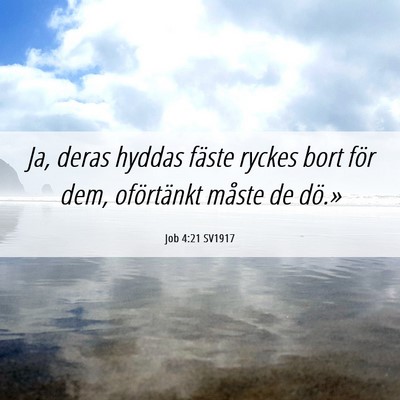 Picture 06 - Job 4:21 SV1917 - Ja, deras hyddas fäste ryckes bort för dem, - Bible Verse Picture