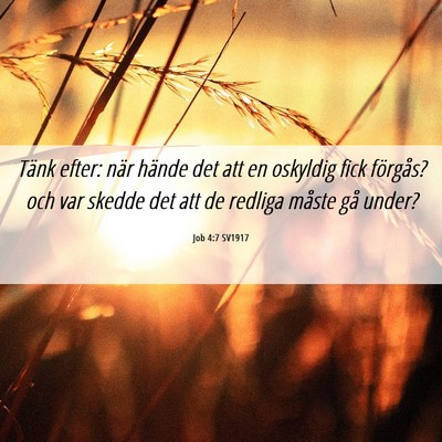 Picture 06 - Job 4:7 SV1917 - Tänk efter: när hände det att en oskyldig fick - Bible Verse Picture