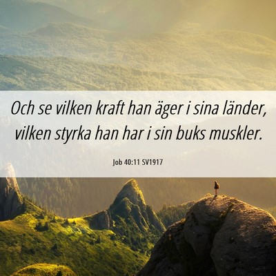 Picture 06 - Job 40:11 SV1917 - Och se vilken kraft han äger i sina länder, - Bible Verse Picture
