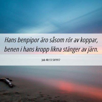Picture 06 - Job 40:13 SV1917 - Hans benpipor äro såsom rör av koppar, benen i - Bible Verse Picture