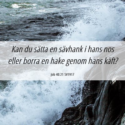 Picture 06 - Job 40:21 SV1917 - Kan du sätta en sävhank i hans nos eller borra - Bible Verse Picture