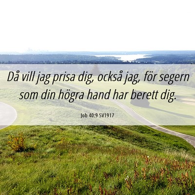Picture 06 - Job 40:9 SV1917 - Då vill jag prisa dig, också jag, för segern - Bible Verse Picture