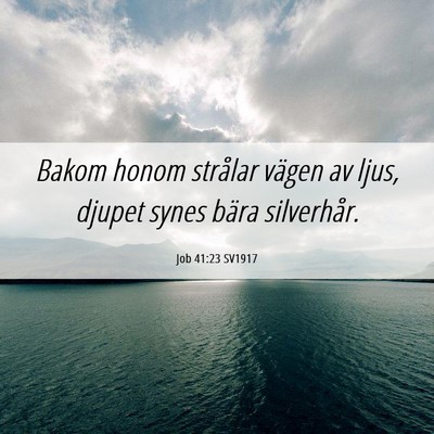 Picture 06 - Job 41:23 SV1917 - Bakom honom strålar vägen av ljus, djupet synes - Bible Verse Picture