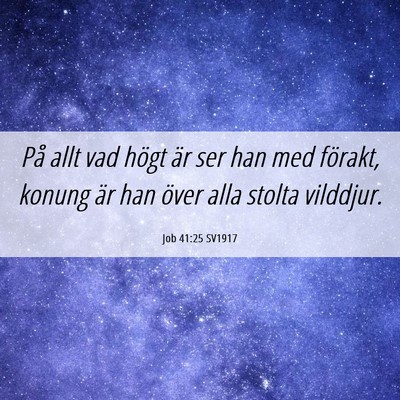 Picture 06 - Job 41:25 SV1917 - På allt vad högt är ser han med förakt, - Bible Verse Picture