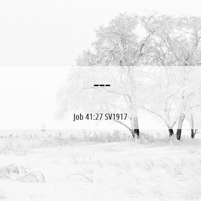 Picture 06 - Job 41:27 SV1917 -  - Bible Verse Picture