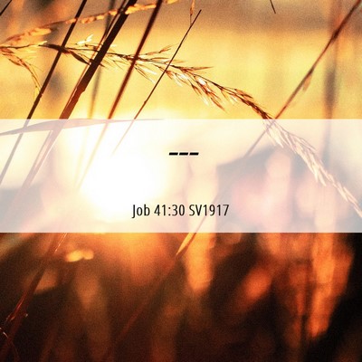Picture 06 - Job 41:30 SV1917 -  - Bible Verse Picture
