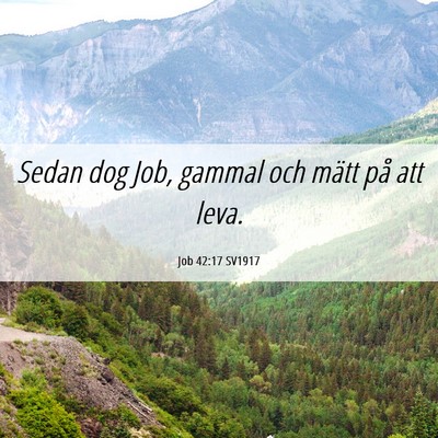 Picture 06 - Job 42:17 SV1917 - Sedan dog Job, gammal och mätt på att - Bible Verse Picture