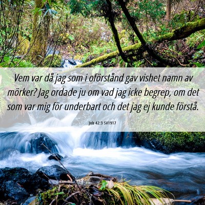 Picture 06 - Job 42:3 SV1917 - Vem var då jag som i oförstånd gav vishet namn - Bible Verse Picture