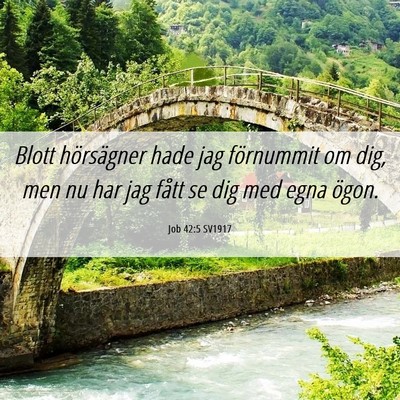 Picture 06 - Job 42:5 SV1917 - Blott hörsägner hade jag förnummit om dig, men - Bible Verse Picture