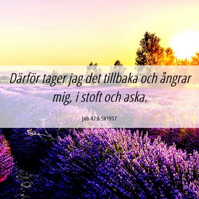 Picture 06 - Job 42:6 SV1917 - Därför tager jag det tillbaka och ångrar mig, - Bible Verse Picture
