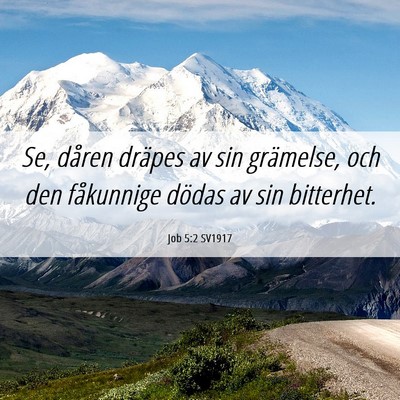 Picture 06 - Job 5:2 SV1917 - Se, dåren dräpes av sin grämelse, och den - Bible Verse Picture
