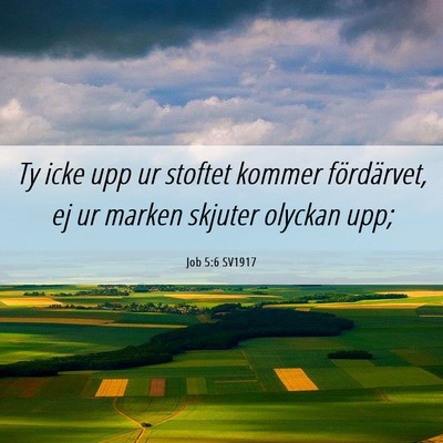 Picture 06 - Job 5:6 SV1917 - Ty icke upp ur stoftet kommer fördärvet, ej ur - Bible Verse Picture
