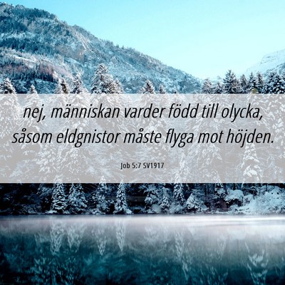 Picture 06 - Job 5:7 SV1917 - nej, människan varder född till olycka, såsom - Bible Verse Picture