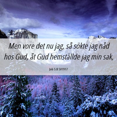 Picture 06 - Job 5:8 SV1917 - Men vore det nu jag, så sökte jag nåd hos Gud, - Bible Verse Picture