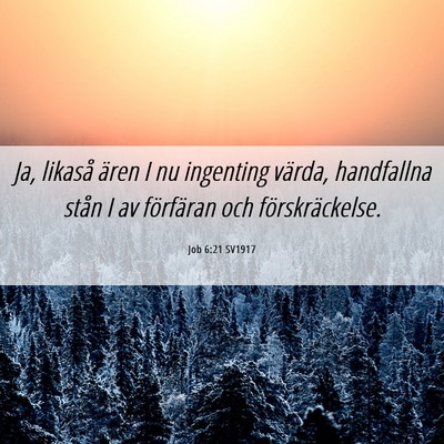 Picture 06 - Job 6:21 SV1917 - Ja, likaså ären I nu ingenting värda, - Bible Verse Picture