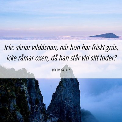 Picture 06 - Job 6:5 SV1917 - Icke skriar vildåsnan, när hon har friskt - Bible Verse Picture