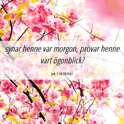 Picture 06 - Job 7:18 SV1917 - synar henne var morgon, prövar henne vart - Bible Verse Picture