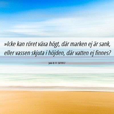 Picture 06 - Job 8:11 SV1917 - »Icke kan röret växa högt, där marken ej är - Bible Verse Picture