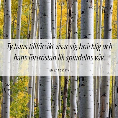Picture 06 - Job 8:14 SV1917 - Ty hans tillförsikt visar sig bräcklig och hans - Bible Verse Picture